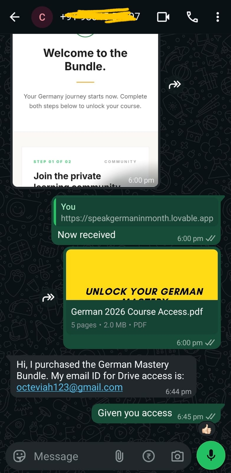 Customer confirming they received the bundle and requesting Drive access